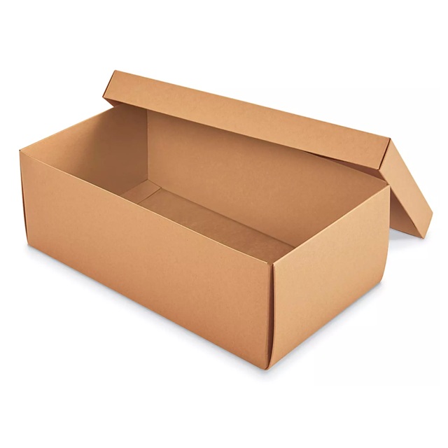 Cajas para zapatos
